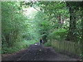 Riding track on Hampstead Heath Extension