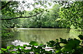 Pond beneath Lane Hanger