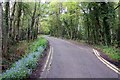 The road into California Country Park