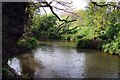 Emm Brook in Dinton Pastures Country Park