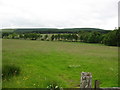 Farmlands near Larriston and Riccarton farms