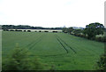 Farmland near Netherton Park 