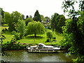 A boat at the bottom of the garden