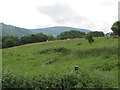 A field bordering on Church Hill, Jonesborough