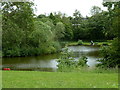 Fishing lake, Clay Cross Angling Club