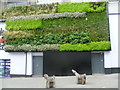 Green wall, Sutton town centre