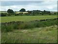 Fields towards New Farm