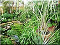 Garden pond, Little Eden, Castleford