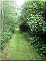 Path to Leys Farm