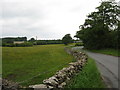 Country road heading for Houdshall Farm