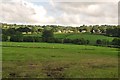 Mid Devon : Grassy Scenery