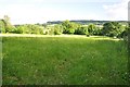 Mid Devon : Grassy Field