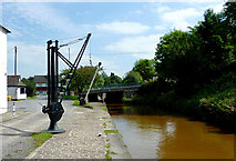 SJ8255 : Trent and Mersey Canal near Hardings Wood, Staffordshire by Roger  D Kidd