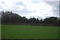 Farmland by the North Downs Way