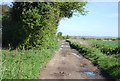 Byway near Little Murston