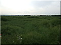 Farmland, Spittlegate Farm