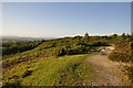 Mid Devon : Black Down Common Footpath