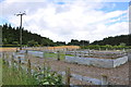 Sheep collection pens just off the B5105