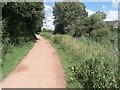 Grand Western Canal Tow Path