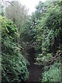 Disused railway cutting, South Luffenham