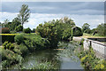 Ilchester: river Yeo