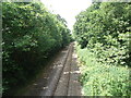 Railway line at Three Oaks