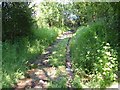 Bridleway near Gooseford