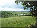 Field of Crops near Treeton