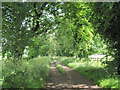 Bridleway  to  the  west  of  Blyth