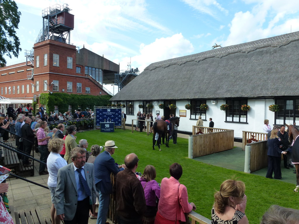 The July Course, Newmarket The... © Richard Humphrey ccbysa/2.0