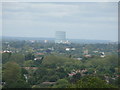 View of a mosque and gasometer from Richmond Park