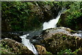 SH6504 : The Dolgoch Falls, Gwynedd by Peter Trimming