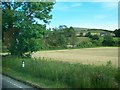 Hayfield east of Mayobridge