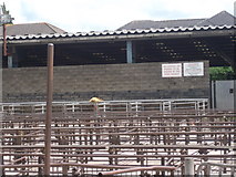 SO2914 : Abergavenny Livestock Market by Ethan Pitt
