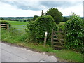 Footpath and gate