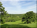 View over the field in front of Fox Holes