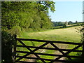 Field near Oxenham