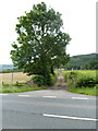 Lane to Gilfach Farm