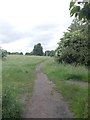 Footpath - off Swaine Hill Terrace