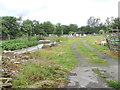 Allotments - off Swaine Hill Terrace