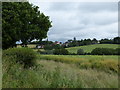 Oak Avenue from Hog Hill