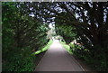 Saxon Shore Way, Sandwich Town Walls