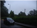 Trees along Romsey Road, Winchester