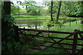 Fishing pond at Birchencliff