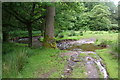 Ford across Black Brook