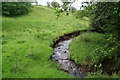 Black Brook meandering