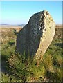 SX6389 : White Moor Stone by Derek Harper