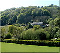 Hillside view, Cwmavon