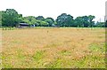 Field and Paddock off Crabbswood Lane