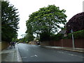 Car parking spaces in Marryat Road